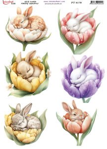 Pirinç Dekopaj Kağıdı 30x42cm PT-4178