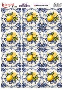 Sulu Transfer Kağıdı 25x35cm ST-1728