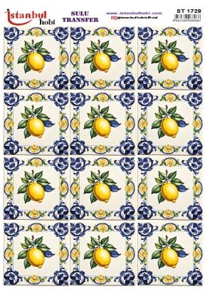 Sulu Transfer Kağıdı 25x35cm ST-1729