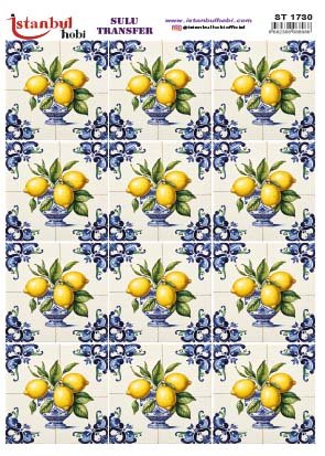 Sulu Transfer Kağıdı 25x35cm ST-1730