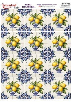 Sulu Transfer Kağıdı 25x35cm ST-1730