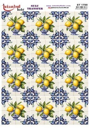 Sulu Transfer Kağıdı 25x35cm ST-1730
