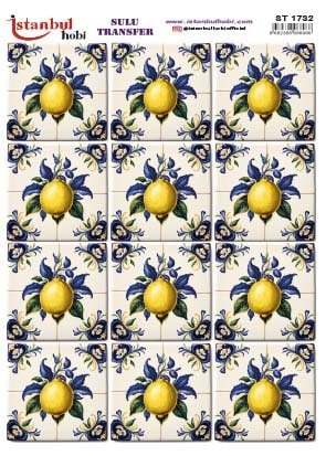 Sulu Transfer Kağıdı 25x35cm ST-1732