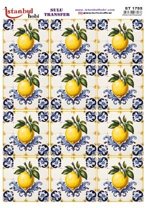 Sulu Transfer Kağıdı 25x35cm ST-1733