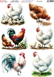 Pirinç Dekopaj Kağıdı 30x42cm PT-4237