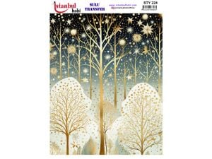 Yılbaşı Sulu Transfer Kağıdı 25x35cm STY-224