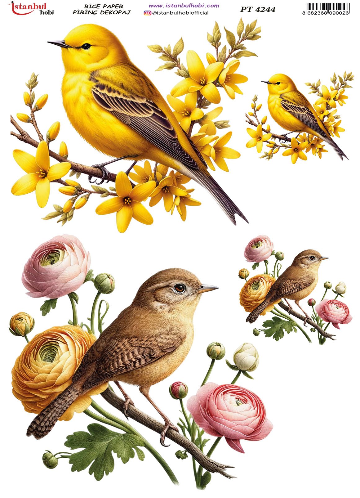 Pirinç Dekopaj Kağıdı 30x42cm PT-4244