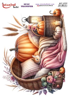 Sulu Transfer Kağıdı 25x35cm ST-1777