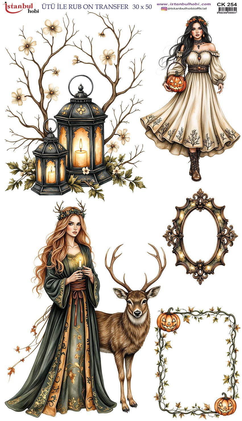 Ütü İle Rub On Transfer 30x50cm CK254