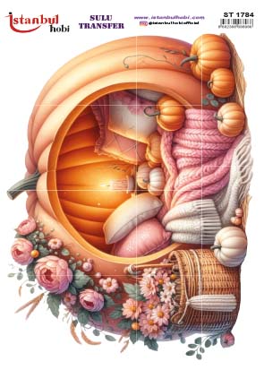 Sulu Transfer Kağıdı 25x35cm ST-1784