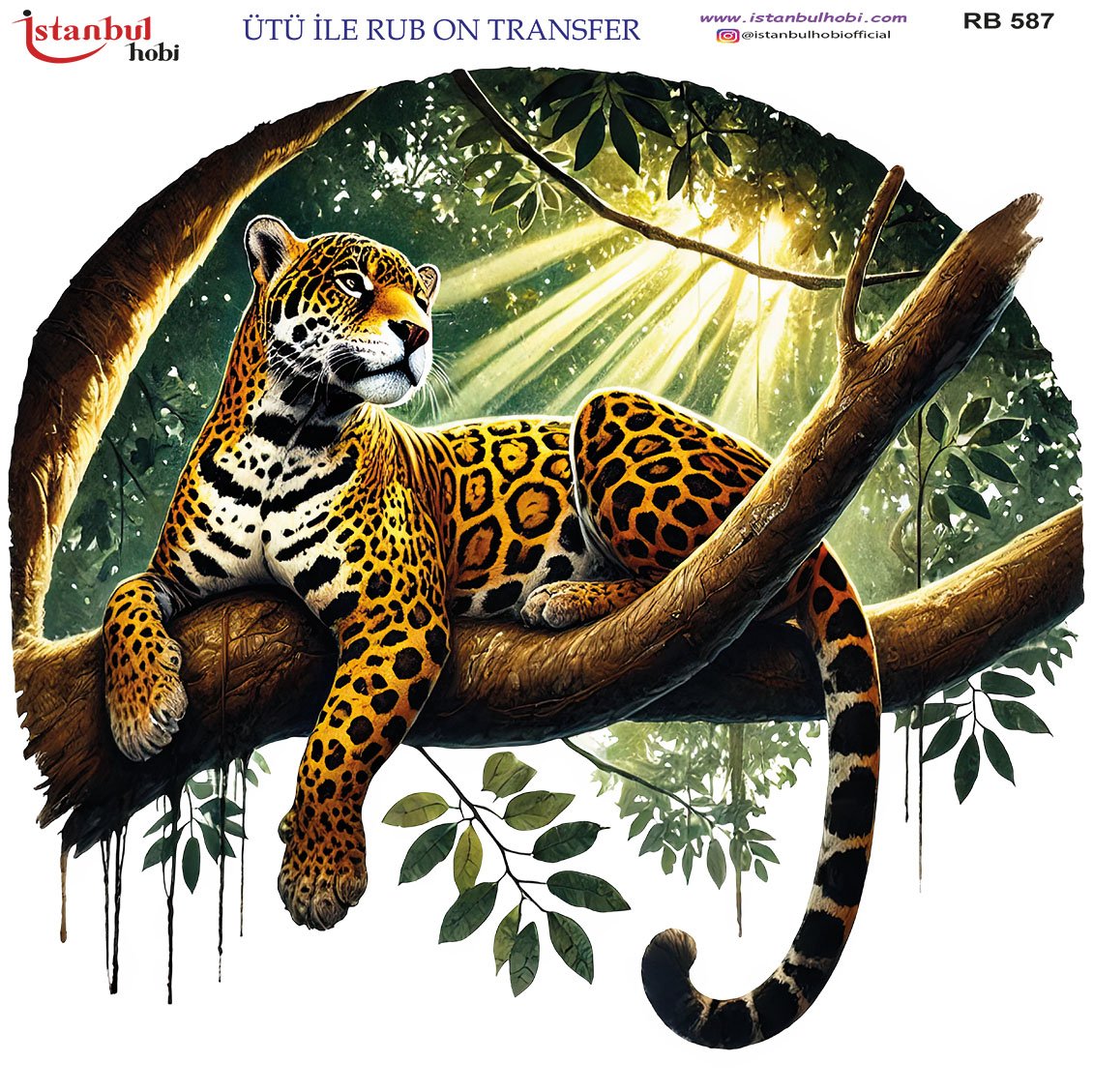 Ütü İle Rub On Transfer 30x30cm RB587