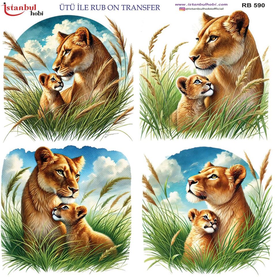 Ütü İle Rub On Transfer 30x30cm RB590