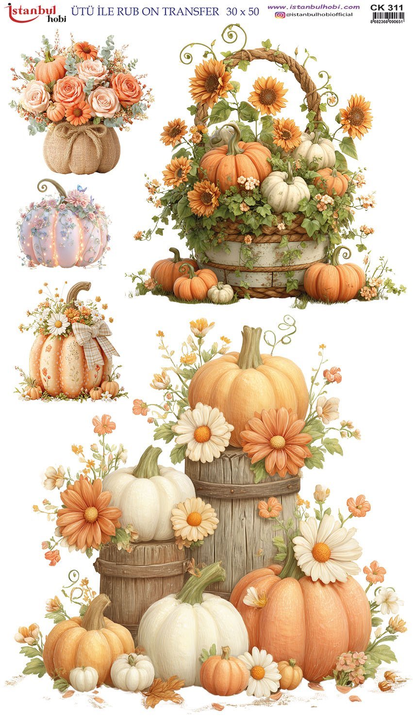 Ütü İle Rub On Transfer 30x50cm CK311