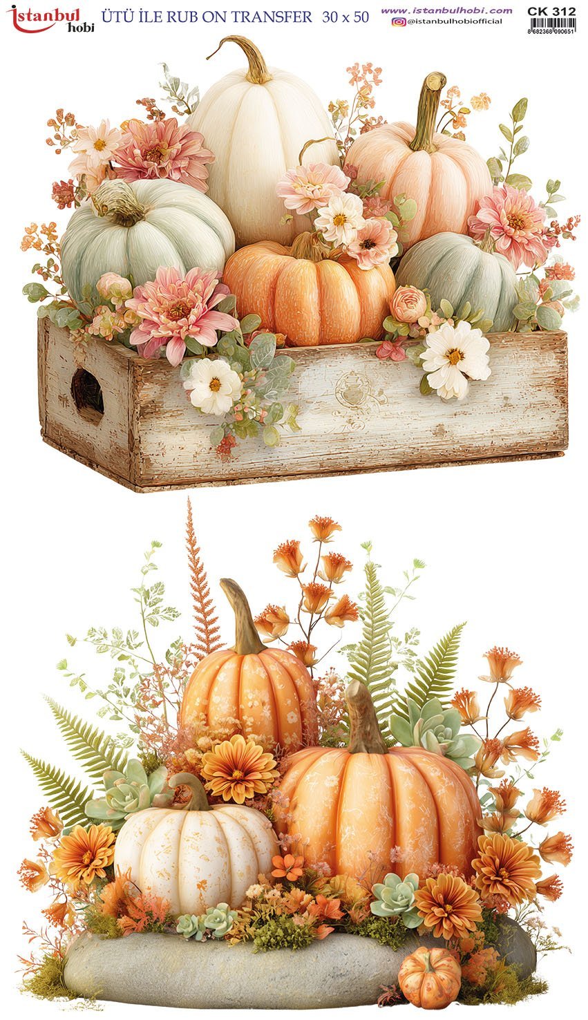 Ütü İle Rub On Transfer 30x50cm CK312