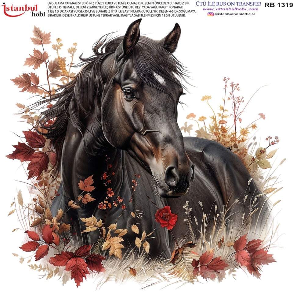 Ütü İle Rub On Transfer 30x30cm RB1319