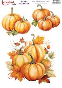 Sulu Transfer Kağıdı 25x35cm ST-2005