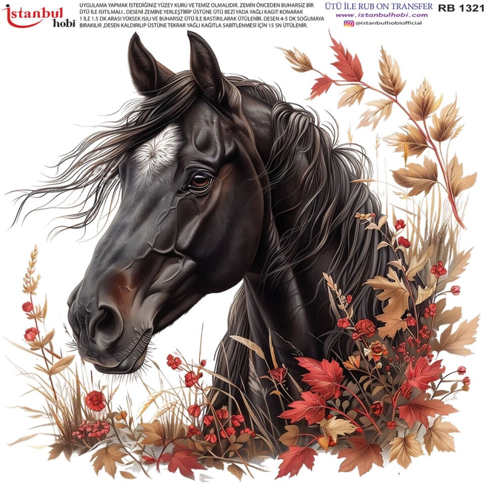 Ütü İle Rub On Transfer 30x30cm RB1321
