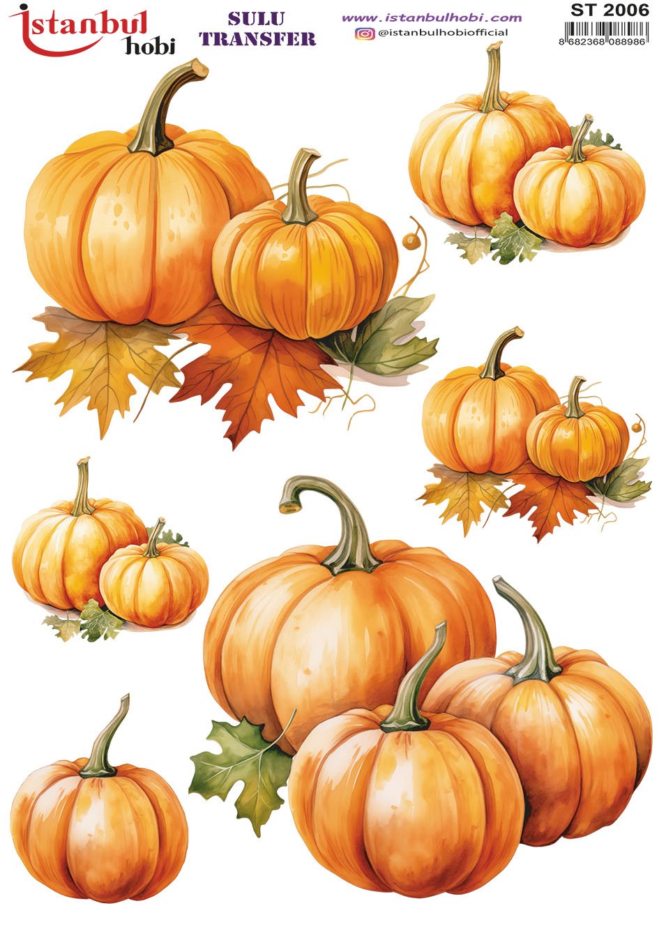 Sulu Transfer Kağıdı 25x35cm ST-2006