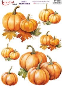 Sulu Transfer Kağıdı 25x35cm ST-2006