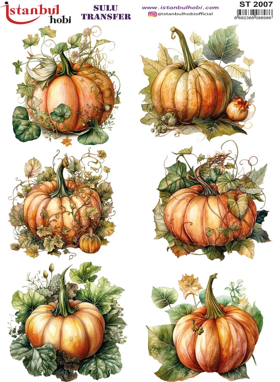 Sulu Transfer Kağıdı 25x35cm ST-2007