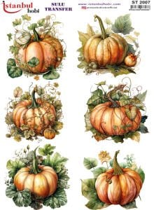 Sulu Transfer Kağıdı 25x35cm ST-2007