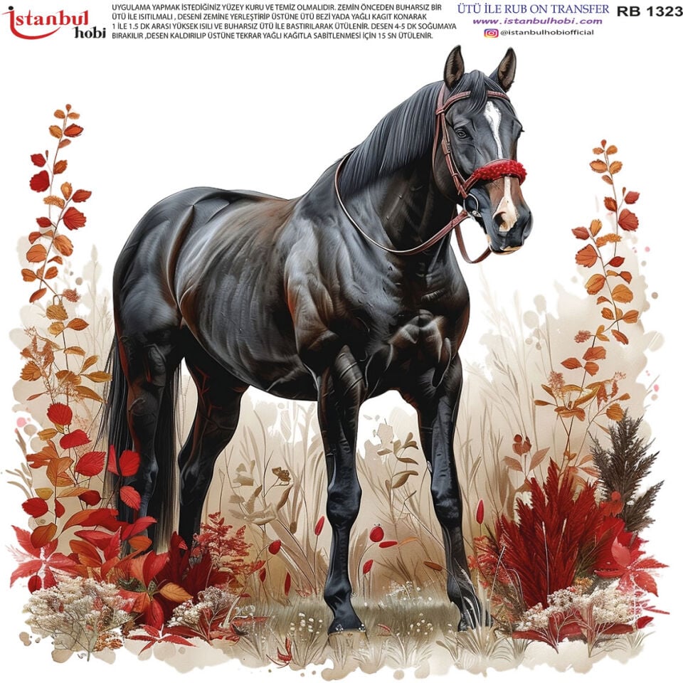 Ütü İle Rub On Transfer 30x30cm RB1323