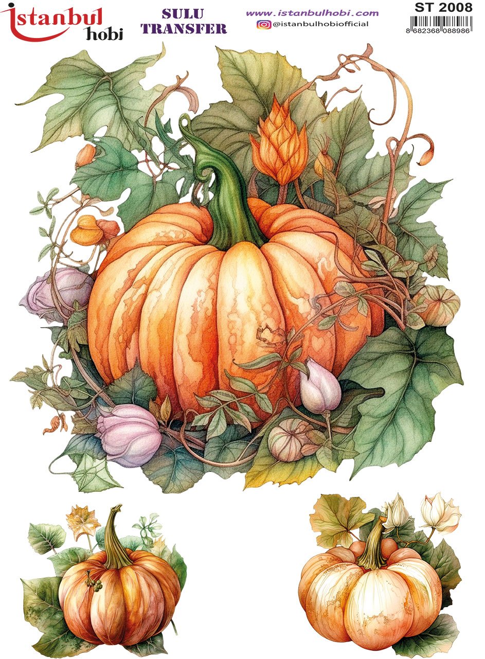 Sulu Transfer Kağıdı 25x35cm ST-2008