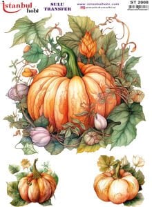 Sulu Transfer Kağıdı 25x35cm ST-2008