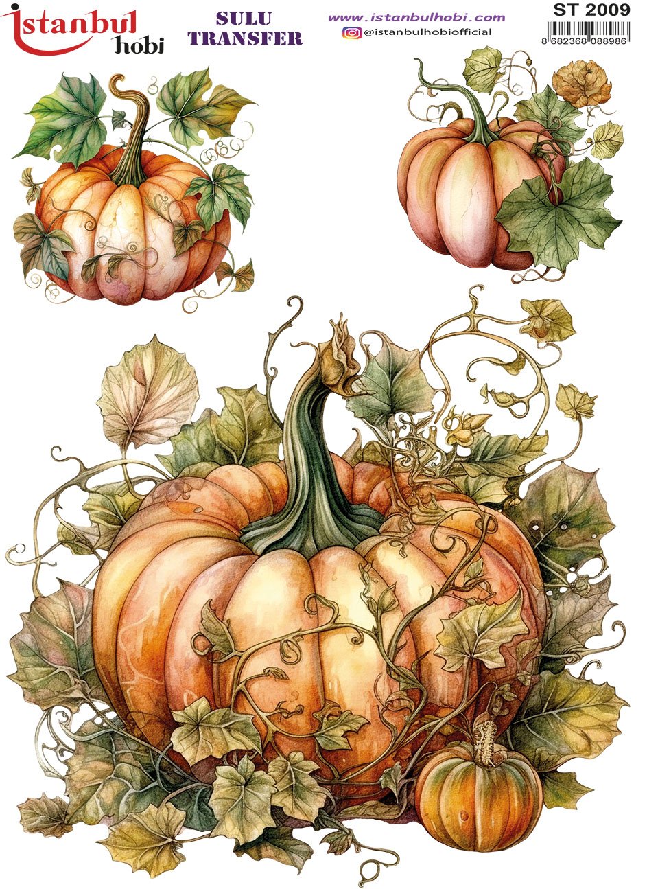 Sulu Transfer Kağıdı 25x35cm ST-2009