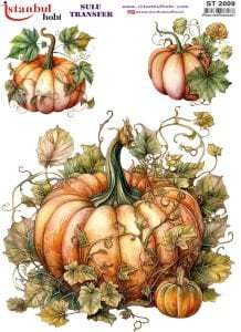 Sulu Transfer Kağıdı 25x35cm ST-2009