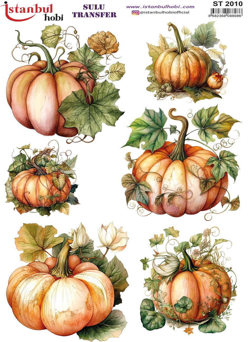 Sulu Transfer Kağıdı 25x35cm ST-2010