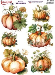 Sulu Transfer Kağıdı 25x35cm ST-2010