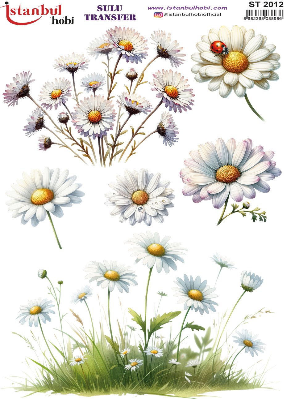 Sulu Transfer Kağıdı 25x35cm ST-2012