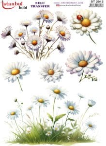 Sulu Transfer Kağıdı 25x35cm ST-2012