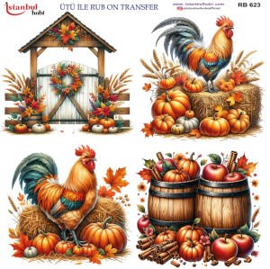Ütü İle Rub On Transfer 30x30cm RB623