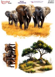 Sulu Transfer Kağıdı 25x35cm ST-2317