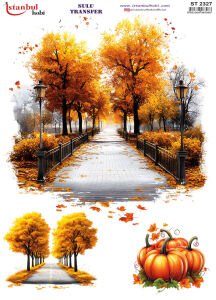 Sulu Transfer Kağıdı 25x35cm ST-2327