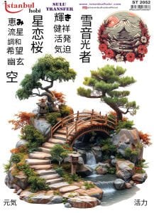 Sulu Transfer Kağıdı 25x35cm ST-2052