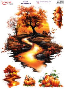 Sulu Transfer Kağıdı 25x35cm ST-2331