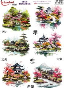 Sulu Transfer Kağıdı 25x35cm ST-2057