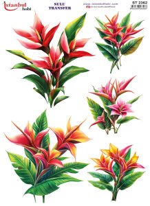 Sulu Transfer Kağıdı 25x35cm ST-2362