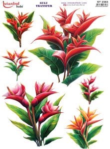 Sulu Transfer Kağıdı 25x35cm ST-2363