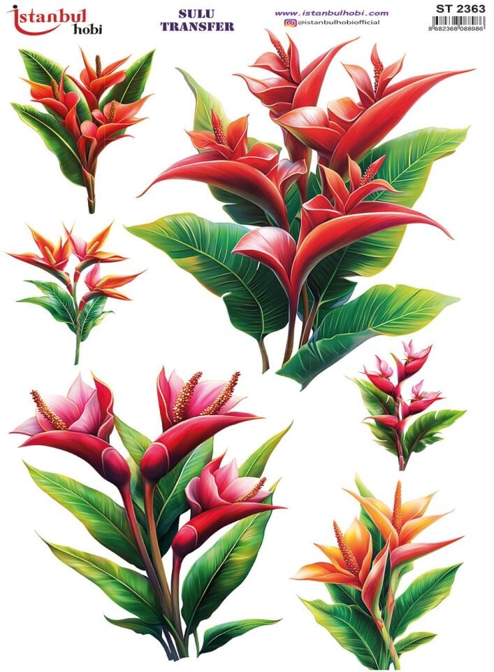 Sulu Transfer Kağıdı 25x35cm ST-2363