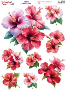 Sulu Transfer Kağıdı 25x35cm ST-2366