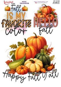 Sulu Transfer Kağıdı 25x35cm ST-2139