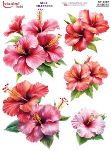 Sulu Transfer Kağıdı 25x35cm ST-2367