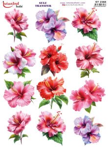 Sulu Transfer Kağıdı 25x35cm ST-2368