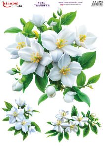 Sulu Transfer Kağıdı 25x35cm ST-2369