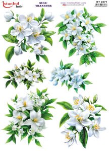 Sulu Transfer Kağıdı 25x35cm ST-2371