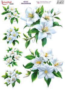 Sulu Transfer Kağıdı 25x35cm ST-2372